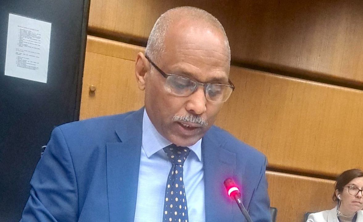 المجموعة العربية بفيينا تحذر من مخاطر قدرات الاحتلال النووية على الأمن الإقليمي المجموعة العربية بفيينا تحذر من مخاطر قدرات الاحتلال النووية على الأمن الإقليمي