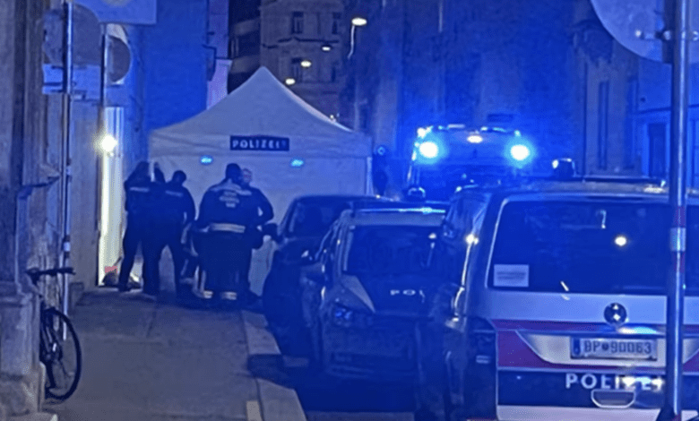 وفاة رجل قفز من النافذة بعد شجار عنيف مع زوجته في فيينا وفاة رجل قفز من النافذة بعد شجار عنيف مع زوجته في فيينا