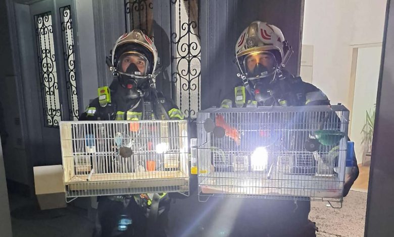 طوارئ فيينا تنقذ 37 شخصًا بعد حريق عربات أطفال في درج مبنى طوارئ فيينا تنقذ 37 شخصًا بعد حريق عربات أطفال في درج مبنى