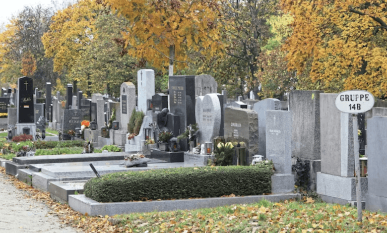 وفاة عامل مقبرة في حادث مميت بفيينا أثناء استخدام حفّار وفاة عامل مقبرة في حادث مميت بفيينا أثناء استخدام حفّار