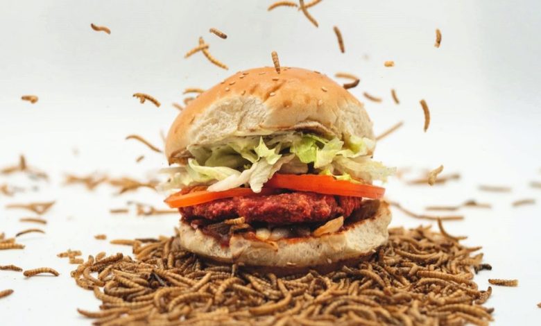 لفترة محدودة في النمسا.. مطاعم Le Burger تقدم برجر بنكهة ديدان الطحين لفترة محدودة في النمسا.. مطاعم Le Burger تقدم برجر بنكهة ديدان الطحين