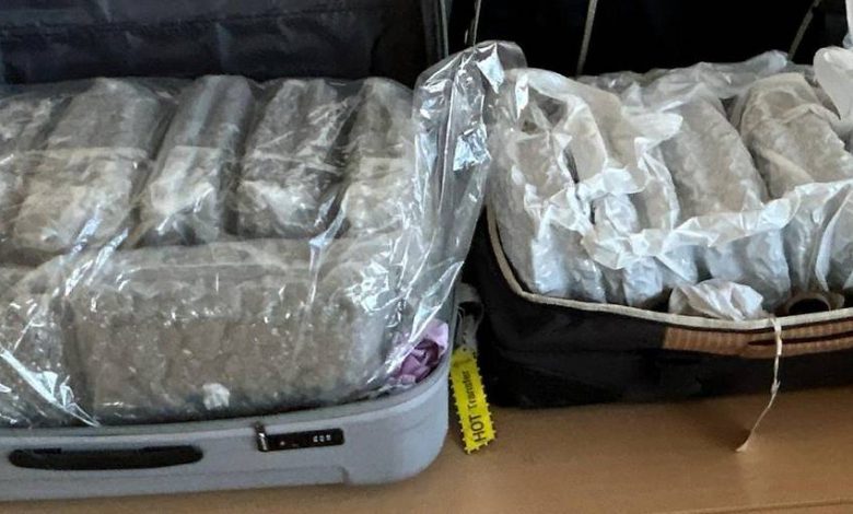 جمارك مطار فيينا تضبط 35 كيلوغرامًا من “الحشيش” مع شاب كندي جمارك مطار فيينا تضبط 35 كيلوغرامًا من “الحشيش” مع شاب كندي
