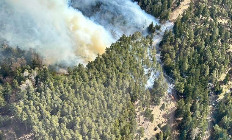 340 رجل إطفاء وخمس مروحيات يكافحون حريق غابات هائل في النمسا السفلى تسببت به سيارة 340 رجل إطفاء وخمس مروحيات يكافحون حريق غابات هائل في النمسا السفلى تسببت به سيارة