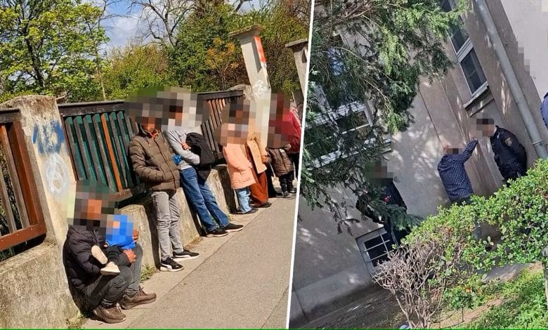 اعتقال مهرب بشر في فيينا وضبط سبعة أطفال بينهم رضيع اعتقال مهرب بشر في فيينا وضبط سبعة أطفال بينهم رضيع