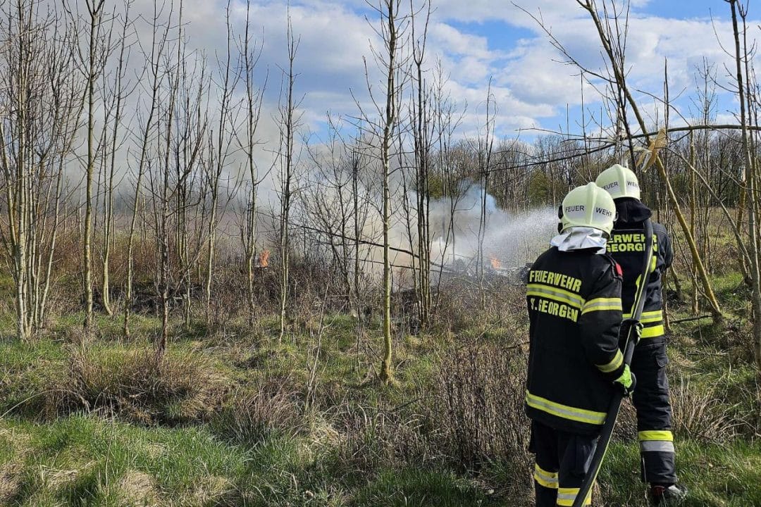 مقتل طيار في حادث تحطم طائرة صغيرة بمطار فولتيندورف في النمسا السفلى مقتل طيار في حادث تحطم طائرة صغيرة بمطار فولتيندورف في النمسا السفلى