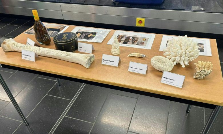 جمارك مطار فيينا تسجل خلال 2024 ضبط 295 كيلوغرامًا من القنب و3.3 مليون يورو نقدًا جمارك مطار فيينا تسجل خلال 2024 ضبط 295 كيلوغرامًا من القنب و3.3 مليون يورو نقدًا