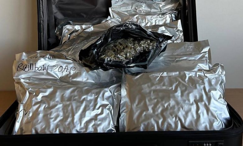 ضبط أكثر من 11 كيلوغرامًا من القنب في مطار فيينا مع بريطاني قادم من بانكوك ضبط أكثر من 11 كيلوغرامًا من القنب في مطار فيينا مع بريطاني قادم من بانكوك