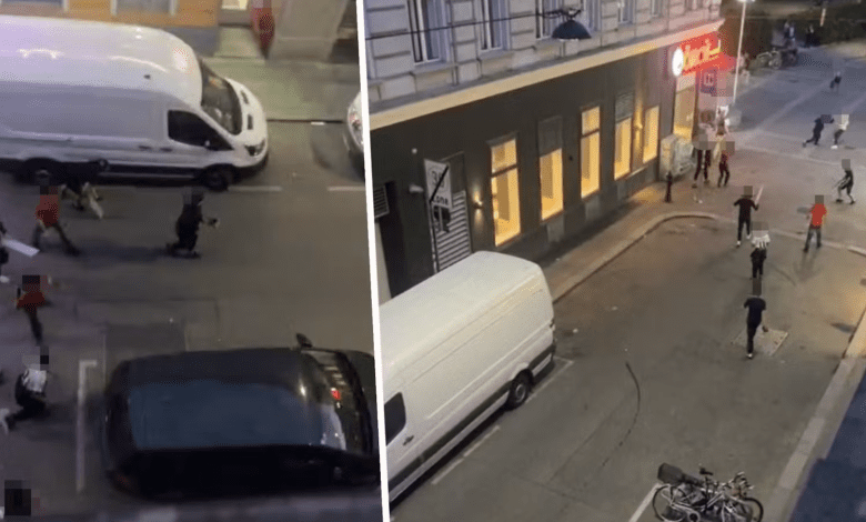 شجار جماعي عنيف بين شبان سوريين بالعصي في فيينا داخل منطقة محظورة شجار جماعي عنيف بين شبان سوريين بالعصي في فيينا داخل منطقة محظورة