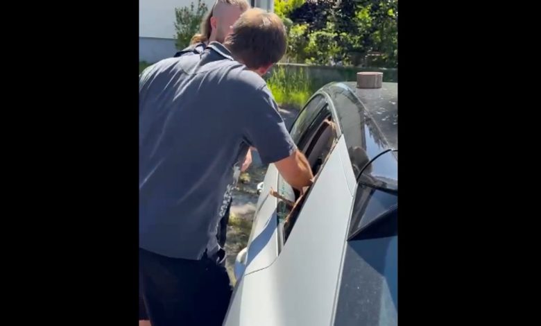 إنقاذ رضيع من داخل سيارة مغلقة في سالزبورغ بعد خطأ غير مقصود من والدته إنقاذ رضيع من داخل سيارة مغلقة في سالزبورغ بعد خطأ غير مقصود من والدته
