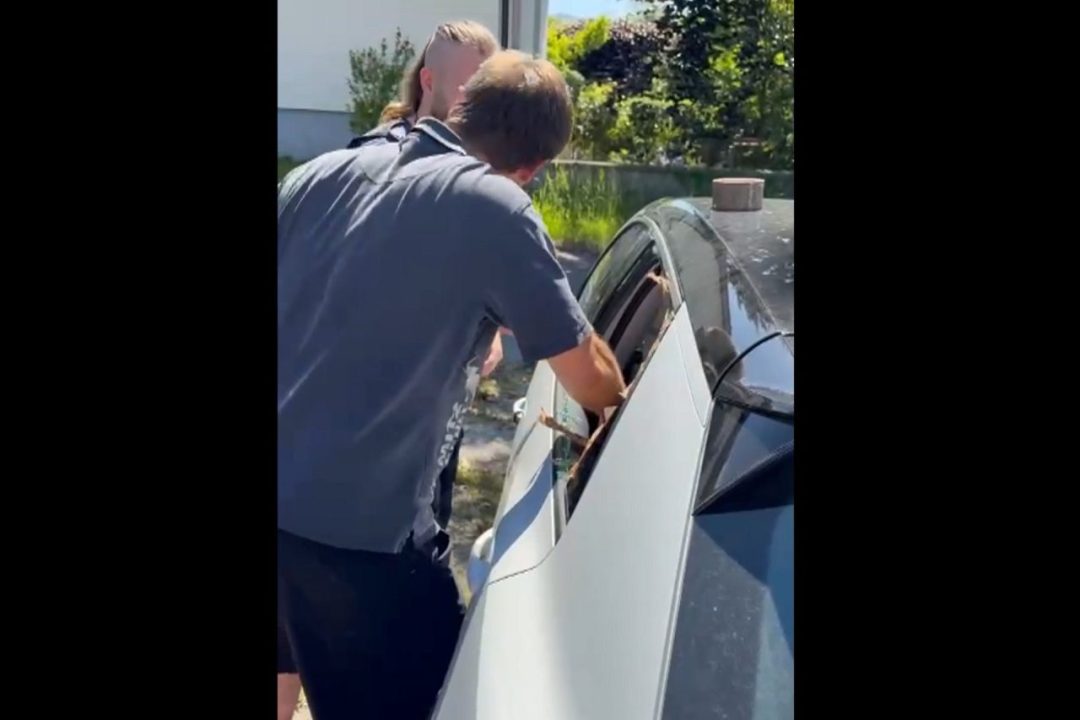 إنقاذ رضيع من داخل سيارة مغلقة في سالزبورغ بعد خطأ غير مقصود من والدته إنقاذ رضيع من داخل سيارة مغلقة في سالزبورغ بعد خطأ غير مقصود من والدته