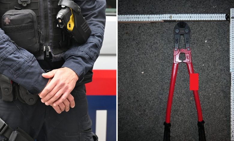 توقيف نمساويين اثنين في فيينا كانا يحملان أدوات اقتحام في حقيبة ظهر توقيف نمساويين اثنين في فيينا كانا يحملان أدوات اقتحام في حقيبة ظهر