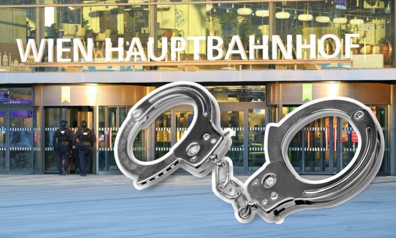 الشرطة النمساوية تعتقل رجلين مغربي وجزائري بتهمة سرقة أمتعة بمحطات فيينا الشرطة النمساوية تعتقل رجلين مغربي وجزائري بتهمة سرقة أمتعة بمحطات فيينا