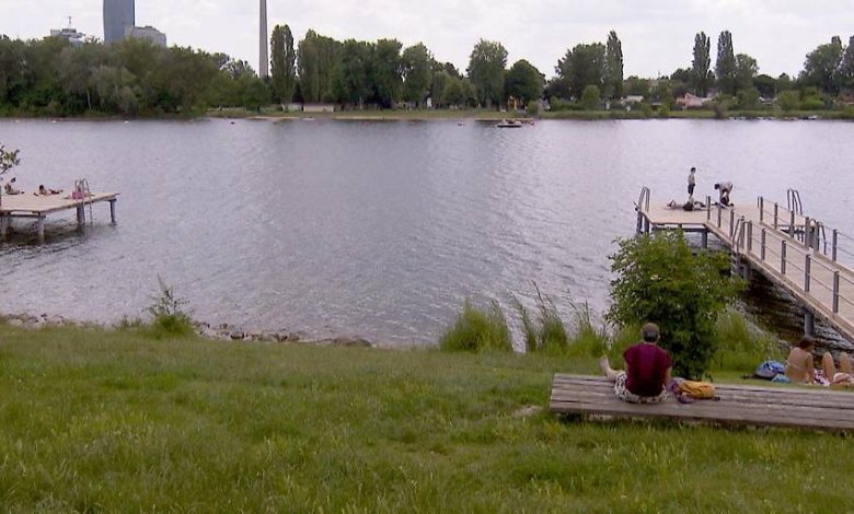 بسبب خطأ تقديري.. فيروس الهربس يفتك بـ200 سمكة كارب في نهر Alte Donau بفيينا بسبب خطأ تقديري.. فيروس الهربس يفتك بـ200 سمكة كارب في نهر Alte Donau بفيينا