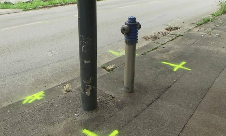 وفاة شاب في حادث دراجة نارية غامض في فيينا والشرطة تبحث عن شهود وفاة شاب في حادث دراجة نارية غامض في فيينا والشرطة تبحث عن شهود
