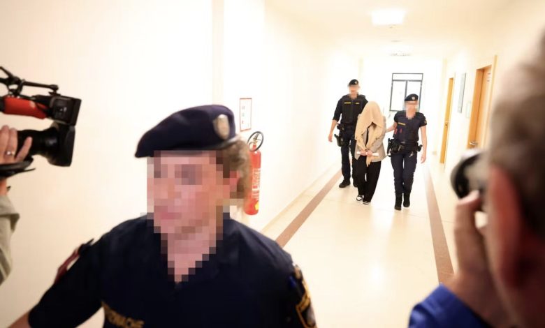 السجن المؤبد لأم من أصول تركية في فيينا قتلت طفلتها “ملك” بعد سبعة أيام على ولادتها بسبب “العار” السجن المؤبد لأم من أصول تركية في فيينا قتلت طفلتها “ملك” بعد سبعة أيام على ولادتها بسبب “العار”