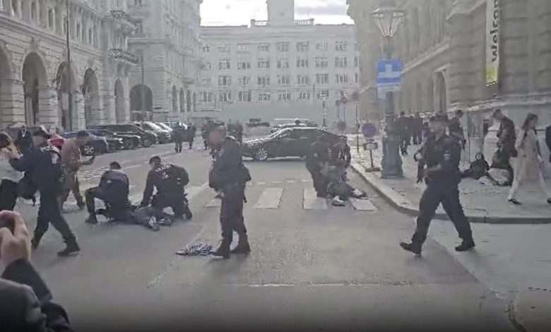 الشرطة النمساوية تعتقل خمسة أشخاص خلال مظاهرة مؤيدة لفلسطين بعد تخريبهم واجهة مبنى (OPEC) في فيينا الشرطة النمساوية تعتقل خمسة أشخاص خلال مظاهرة مؤيدة لفلسطين بعد تخريبهم واجهة مبنى (OPEC) في فيينا
