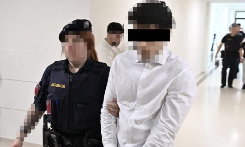 محكمة فيينا تُدين خمسة مراهقين بجرائم سطو والتخريب بدافع اللهو والملل وتصدر أحكام مع وقف التنفيذ