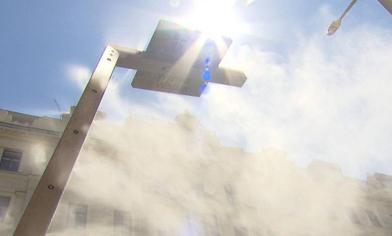 خبير بيئي ينتقد بطء فيينا في تنفيذ إجراءات الحماية من الحرّ خبير بيئي ينتقد بطء فيينا في تنفيذ إجراءات الحماية من الحرّ