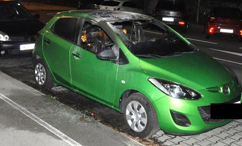 إدانة نمساوي في فيينا بالسجن عامًا مع وقف التنفيذ خرب 12 سيارة في فيينا وتسببه بـ 100 ألف يورو خسائر إدانة نمساوي في فيينا بالسجن عامًا مع وقف التنفيذ خرب 12 سيارة في فيينا وتسببه بـ 100 ألف يورو خسائر