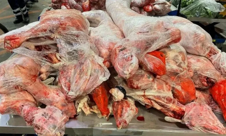 ضبط طن من اللحوم النيئة غير المبردة في شاحنة صغيرة بحالة فنية متدهورة يقودها سوري في سالزبورغ ضبط طن من اللحوم النيئة غير المبردة في شاحنة صغيرة بحالة فنية متدهورة يقودها سوري في سالزبورغ