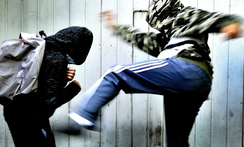 نقابة المعلمين: ارتفاع العنف بين طلاب فيينا نتيجة تعرضهم للعنف اليومي المنزلي واللفظي والرقمي والنفسي
