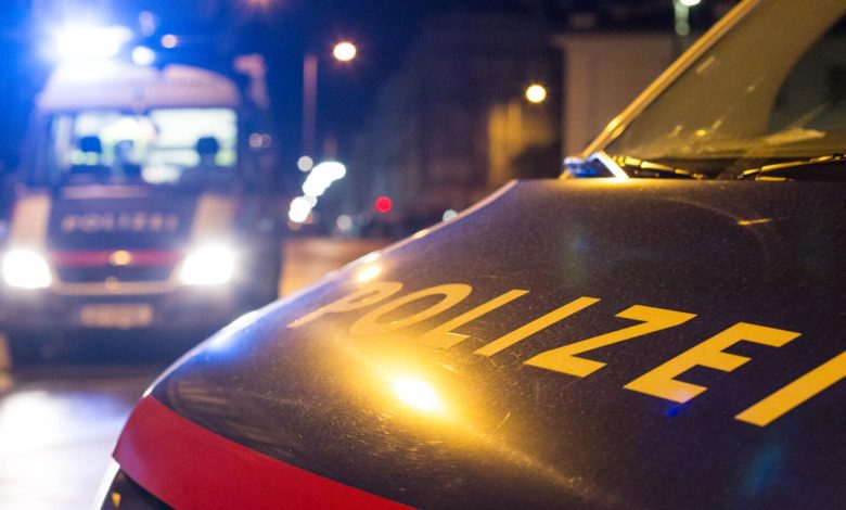 اعتقال والدين (إيطالي وأوكرانية) في فيينا بعد محاولة اغراق طفلهما عند بركة Wienerberggelände اعتقال والدين (إيطالي وأوكرانية) في فيينا بعد محاولة اغراق طفلهما عند بركة Wienerberggelände