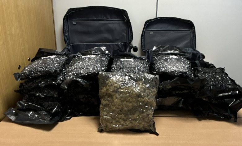 إحباط عملية تهريب 25 كيلوغراماً من “الحشيش” في مطار فيينا وتوقيف بريطاني قادم من بانكوك