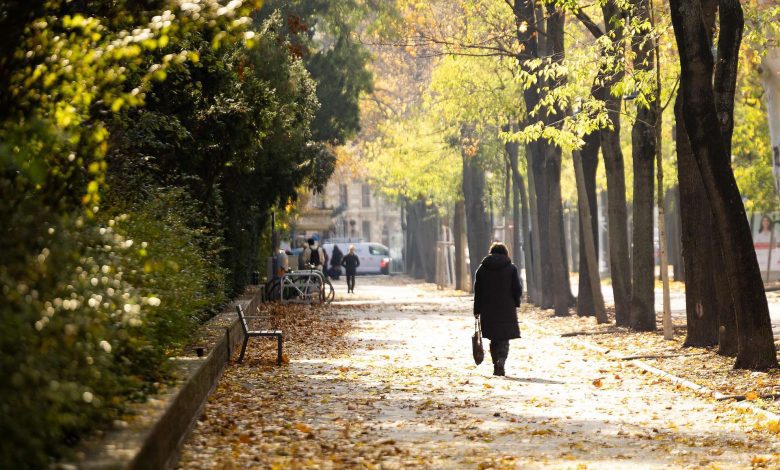 موجة كوفيد ونزلات البرد تجتاح البلاد والسلطات الصحية في النمسا تدعو إلى التطعيم موجة كوفيد ونزلات البرد تجتاح البلاد والسلطات الصحية في النمسا تدعو إلى التطعيم