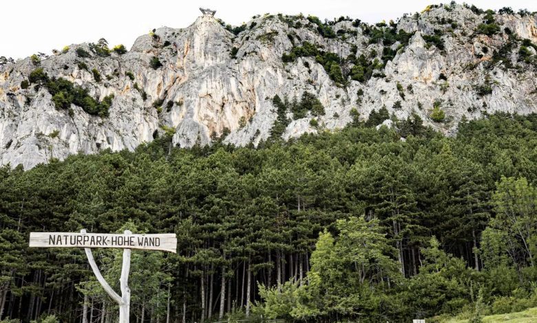 مصرع رجل من فيينا بعد سقوطه من ارتفاع 50 متراً في جبال Hohe Wand