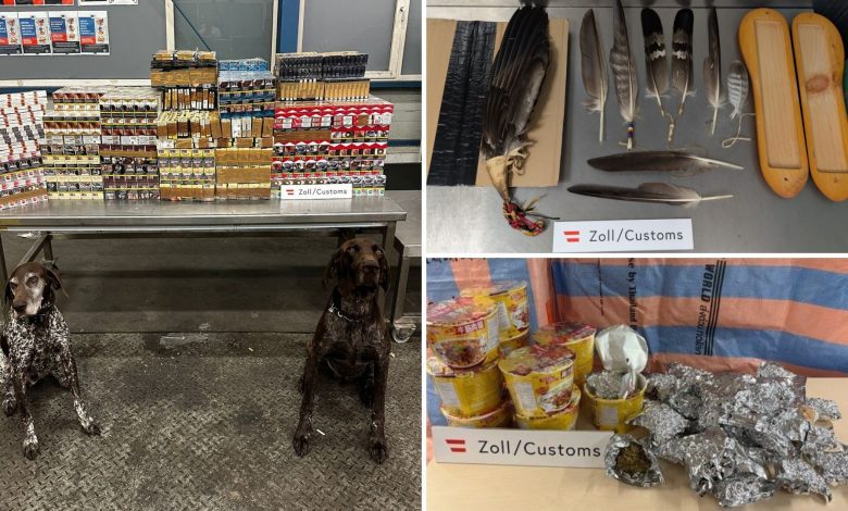 الجمارك النمساوية تحقق حصيلة صيفية قوية.. ضبط 118 كيلوغراماً من المخدرات وأكثر من 390,000 سيجارة الجمارك النمساوية تحقق حصيلة صيفية قوية.. ضبط 118 كيلوغراماً من المخدرات وأكثر من 390,000 سيجارة