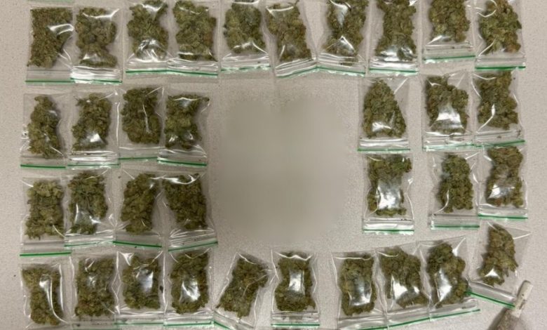 ضبط 54 كيساً من الحشيش واعتقال شابين سوريين اثنين في عملية بيع “حشيش” بفيينا ضبط 54 كيساً من الحشيش واعتقال شابين سوريين اثنين في عملية بيع “حشيش” بفيينا