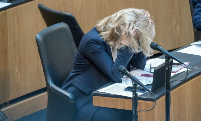 Meinl-Reisinger: رغم التوفير في ميزانية الخارجية يجب على النمسا أن تلعب دورها في العالم وتمثل مصالحها الخارجية
