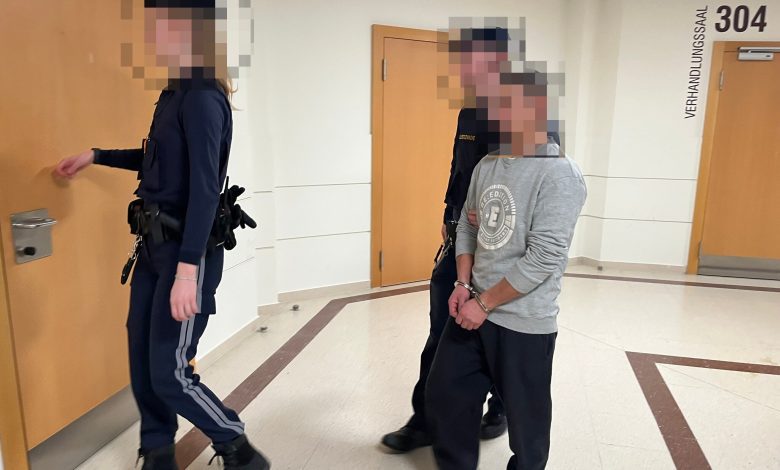 السجن عامان لمجري ألقى حجارة من جسر Brigittenauer بفيينا وتسبب بإصابة سائقة مركبة في عينها