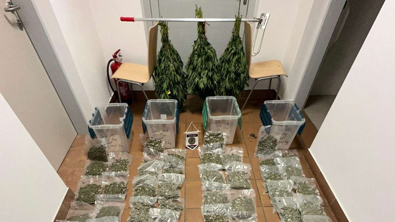 بلاغات مجهولة تطيح بـ “مزارع مخدرات” في Feldbach بمقاطعة شتايرمارك ضبط بحوزته 17 كيلوغراماً بلاغات مجهولة تطيح بـ “مزارع مخدرات” في Feldbach بمقاطعة شتايرمارك ضبط بحوزته 17 كيلوغراماً