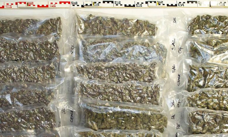 مخبأ سري خلف المقاعد.. شرطة فيلاخ تضبط 13 كيلوغراماً من المخدرات في سيارة سلوفينية