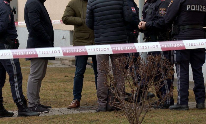جريمة تهز مدينة Leoben بشتايرمارك.. اشتباه في قيام أم بإنهاء حياة ابنها ذي الـ11 عاماً