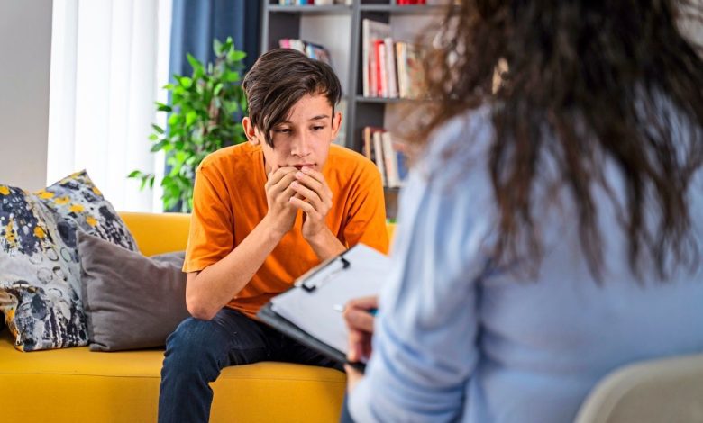تأمين 120 ألف جلسة علاج نفسي مجانية سنوياً في النمسا حتى عام 2029 عبر منصة “psyhelp”