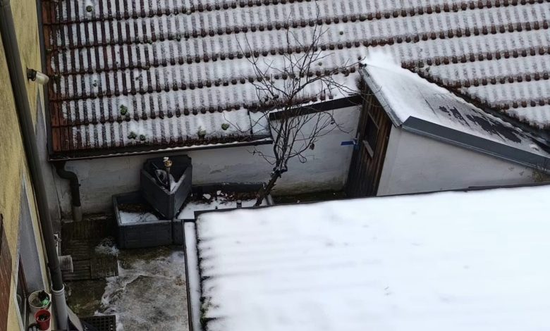 اعتراف هاتفي يقود لفك لغز جريمة..العثور على جثة امرأة داخل قبو أرضي في Wilfersdorf في النمسا السفلى