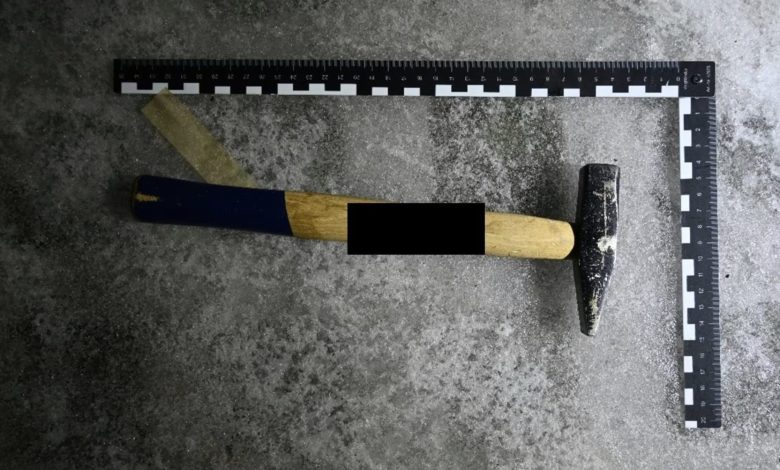 توقيف تركي كان في حالة سُكر شديد هدد شاباً بالقتل باستخدام “مطرقة” في حديقة عامة بفيينا