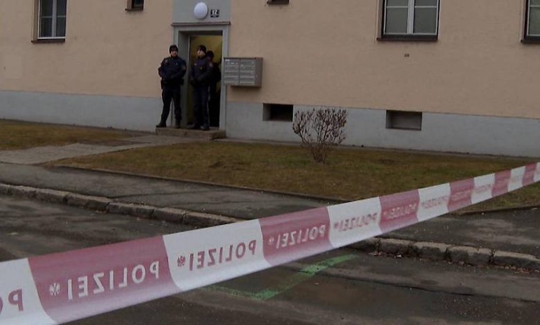 نمساوية تقدم اعتراف كامل بقتل ابنها (11 عاماً) طعناً بالسكين في مدينة Leoben بشتايرمارك