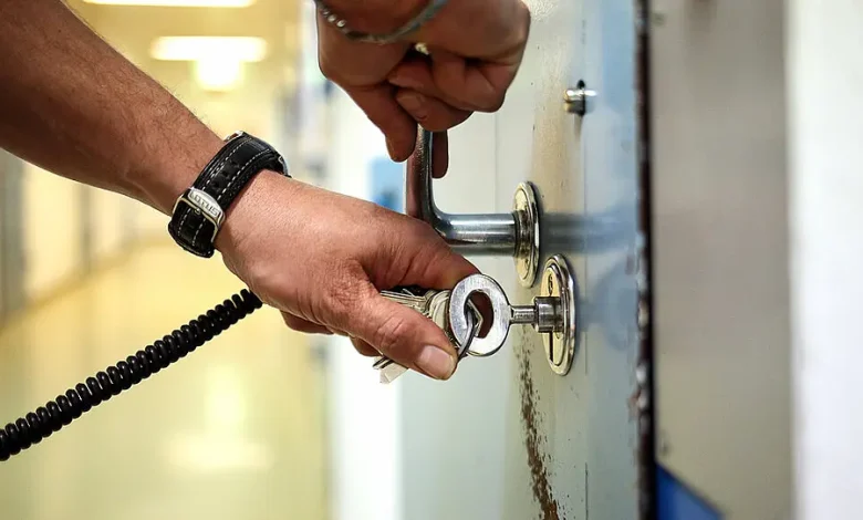 انتحال صفة “دكتورة حقوق” وتلفيق تهم لعملاء.. سقوط زوجة محامٍ شهير في فيينا بعد سرقة 75 ألف يورو