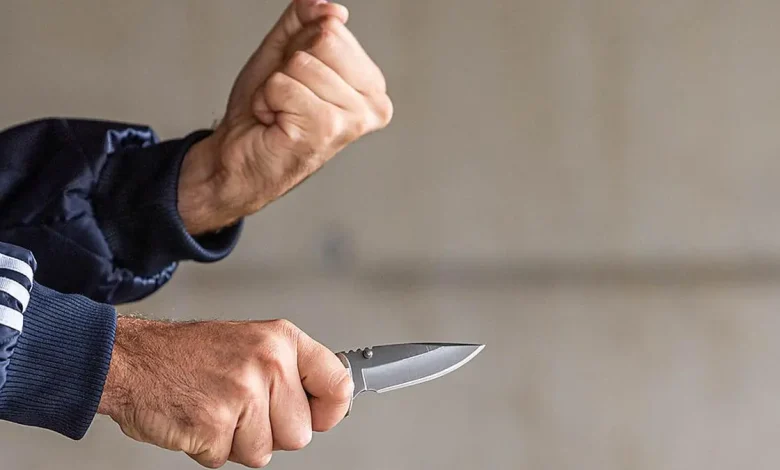 شجار عنيف ينتهي بجريمة طعن وضبط كميات من المخدرات بين سوريين في فيينا