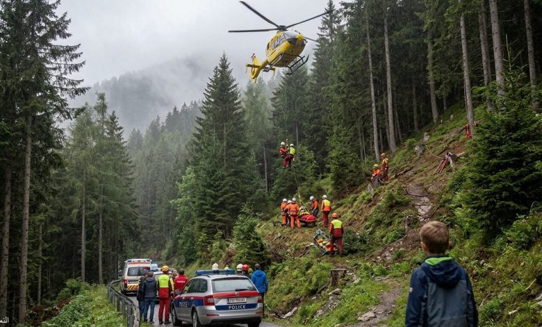 شاهدُ عيان صغير.. طفل في العاشرة يبلغ عن سقوط جده المميت خلال عمله بغابات Schwaz بتيرول شاهدُ عيان صغير.. طفل في العاشرة يبلغ عن سقوط جده المميت خلال عمله بغابات Schwaz بتيرول