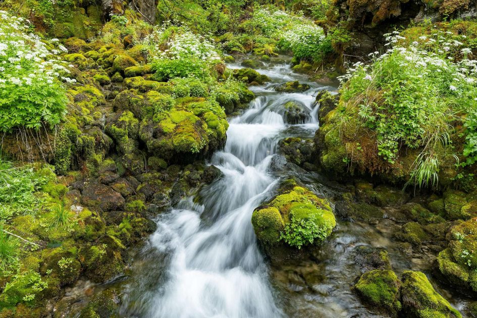 استراتيجية “Wiener Wasser 2050”.. فيينا تبني أكبر خزان مياه شرب مغلق في العالم لمواجهة التغير المناخي لتلبية احتياجات 2.3 مليون نسمة