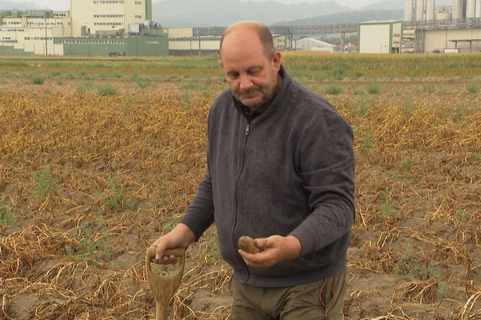 بقيمة 30 مليون يورو.. خسائر الجفاف في النمسا العليا تتجاوز 80% وغياب التغطية التأمينية يزيد معاناة المزارعين