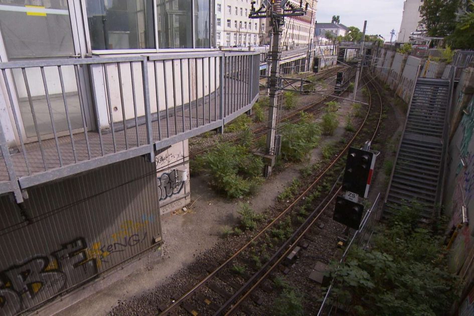 بدء الإغلاق الجزئي لجسر Große Ungarbrücke في فيينا وإعادة تشييده حتى يوليو 2027 بدء الإغلاق الجزئي لجسر Große Ungarbrücke في فيينا وإعادة تشييده حتى يوليو 2027